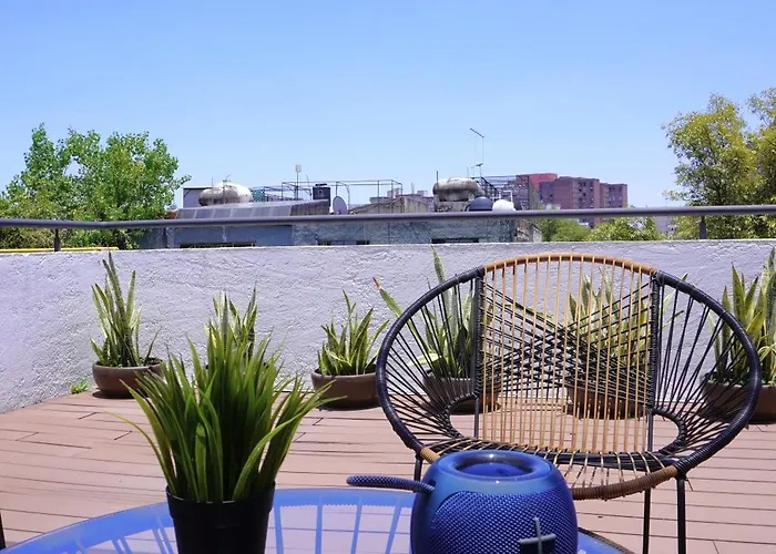 Linda Terraza En La Vibrante Roma Norte *